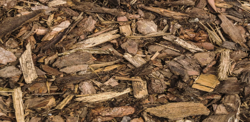 Wood mulch